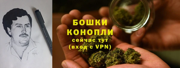 стаф Липки