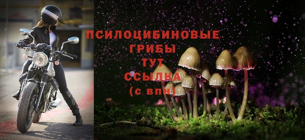 метадон Лиски